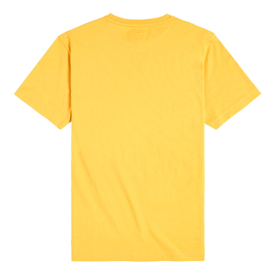 MTSS2302_2