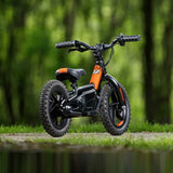 Stacyc Electric balance bike 12 E drive " Harley Davidson"